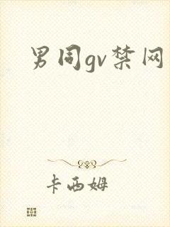 男同gv禁网站