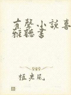 有声小说喜马拉雅听书