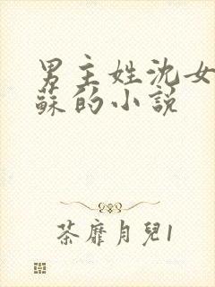 男主姓沈女主姓苏的小说