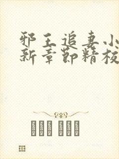 邪王追妻小说最新章节精校版