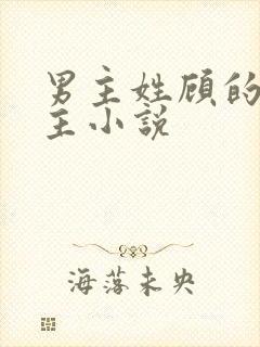 男主姓顾的双男主小说