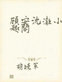 顾安沈澈小说笔趣阁封面