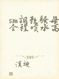 sm调教骚母狗全程喷水高潮