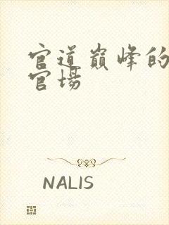 官道巅峰的长篇官场