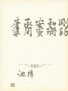 唐承安和刚子老婆周灵珊的小说免费阅读