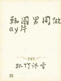 韩国男同做爰gay片封面