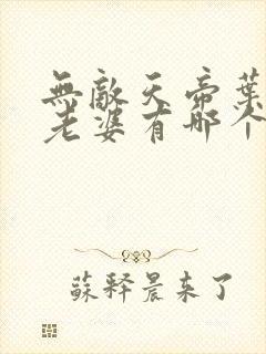 无敌天帝叶凡的老婆有哪个封面