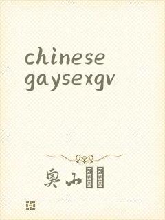 chinesegaysexgv封面