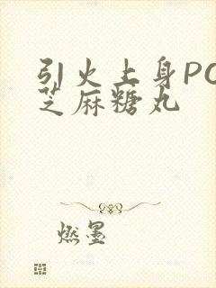 引火上身POP芝麻糖丸封面