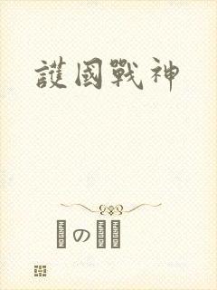 护国战神封面