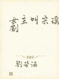 女主叫宋瑶的短剧封面