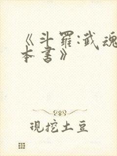 《斗罗:武魂一本书》