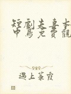 短剧夫妻本是林中鸟免费观看大结局