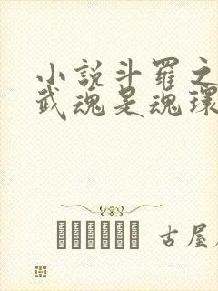 小说斗罗之我的武魂是魂环封面