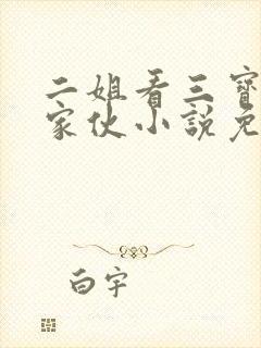 二姐看三宝的驴家伙小说免费阅读无