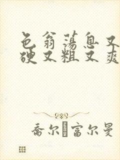 色翁荡息又大又硬又粗又爽电影