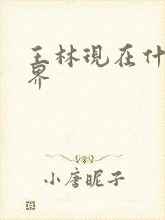 王林现在什么境界