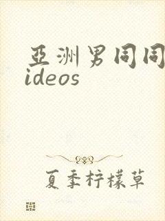 亚洲男同同性videos