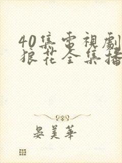 40集电视剧杀狼花全集播放