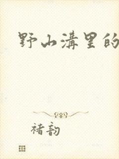 野山沟里的村庄