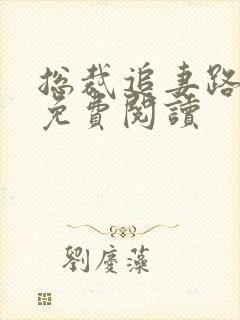 总裁追妻路漫漫免费阅读