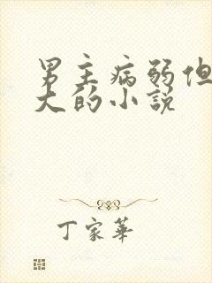 男主病弱但很强大的小说