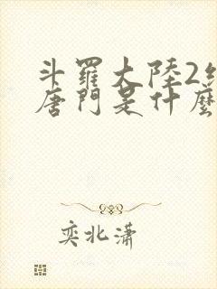 斗罗大陆2绝世唐门是什么
