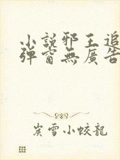 小说邪王追妻无弹窗无广告