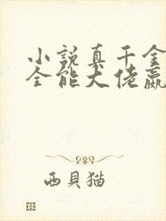 小说真千金她是全能大佬嬴子衿最新章节封面