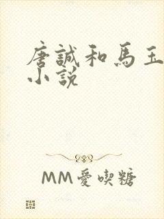 唐诚和马玉婷的小说