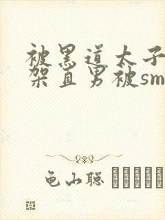 被黑道太子爷绑架直男被sm成奴