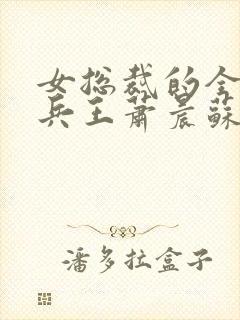 女总裁的全能型兵王萧晨苏晴