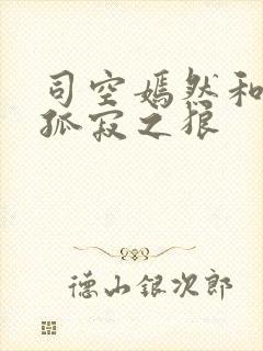 司空嫣然和叶凡孤寂之狼