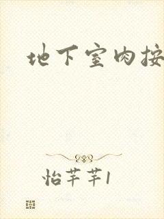 地下室肉按摩椅封面