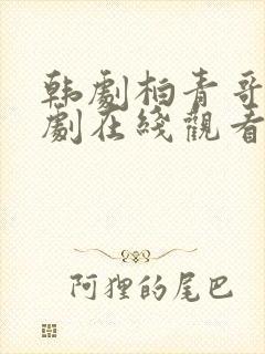 韩剧柏青哥电视剧在线观看免费高清