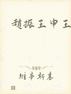 赵振王申王乙封面