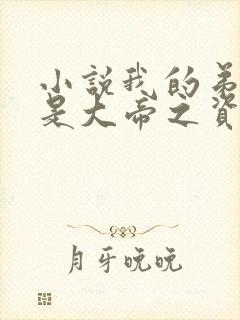 小说我的弟子全是大帝之资