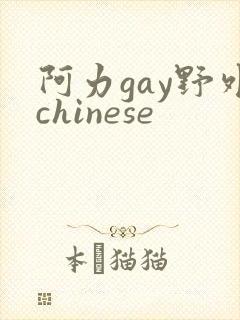阿力gay野外chinese封面