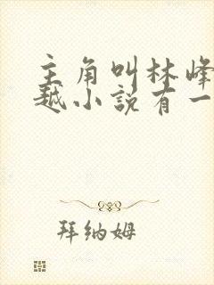 主角叫林峰的穿越小说有一千七百多章