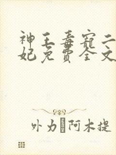 神王毒宠二嫁王妃免费全文阅读封面
