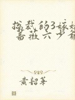 总裁的3嫁娇妻 蔷薇六少爷