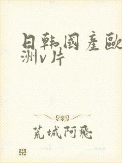 日韩国产欧美亚洲v片