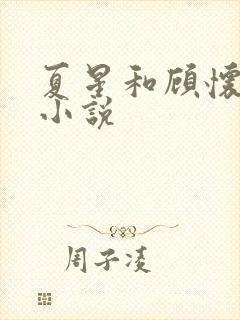 夏星和顾怀瑾的小说