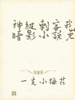 神级刺客我即是暗影小说免费阅读