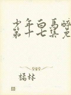 少年白马醉春风第十七集免费观看