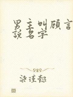 男主叫顾言的小说名字