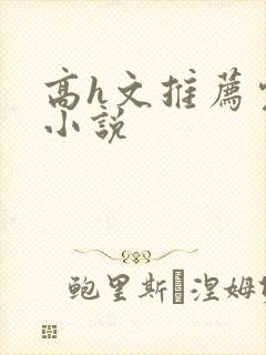 高h文推荐完结小说