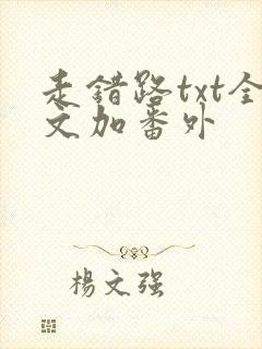 走错路txt全文加番外