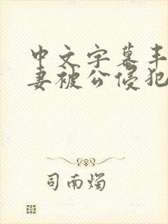 中文字幕丰满人妻被公侵犯封面