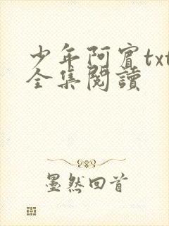 少年阿宾txt全集阅读